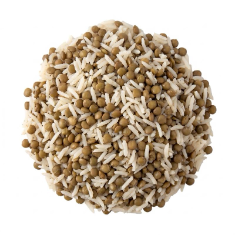 Lentil & Rice